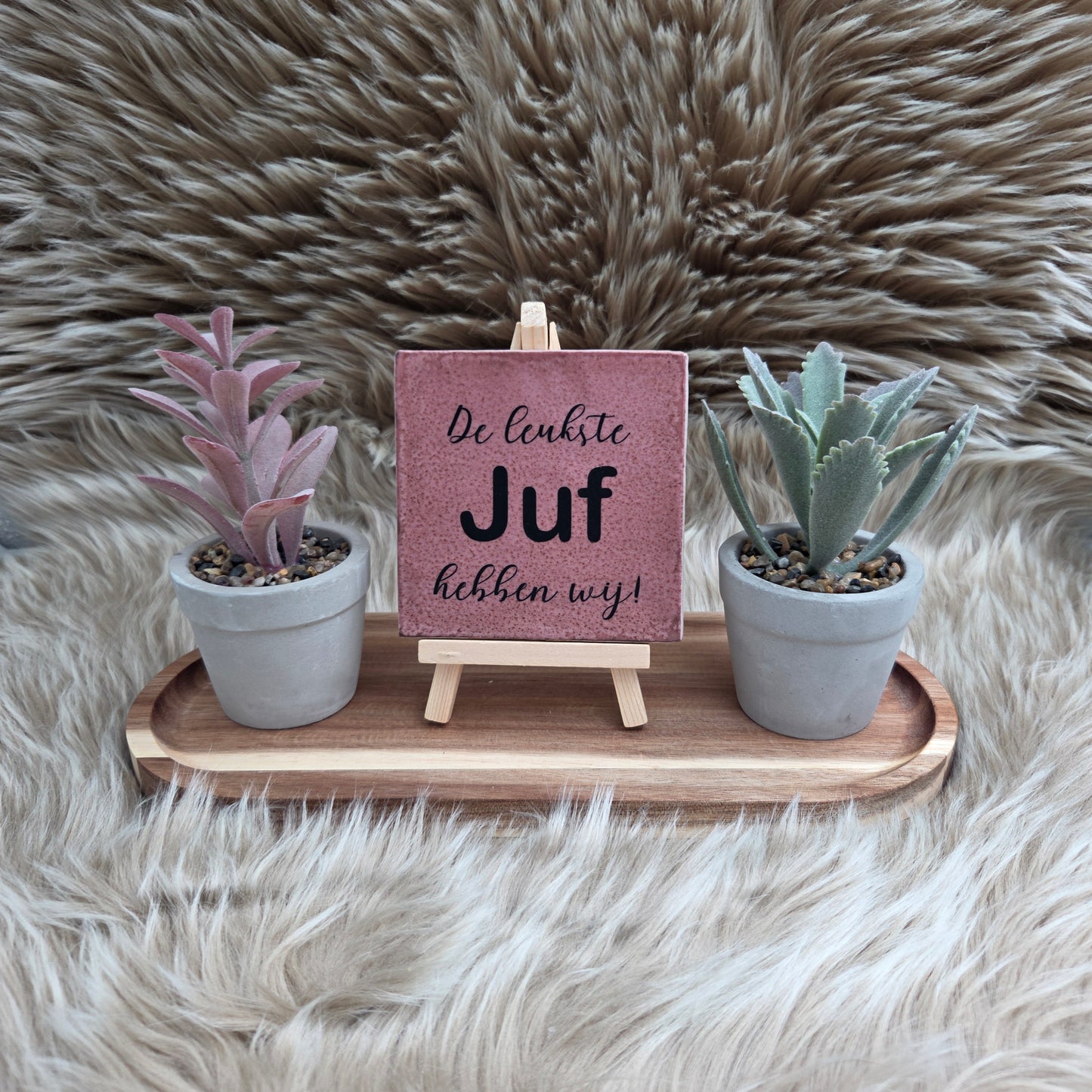 Leukste juf tegeltje