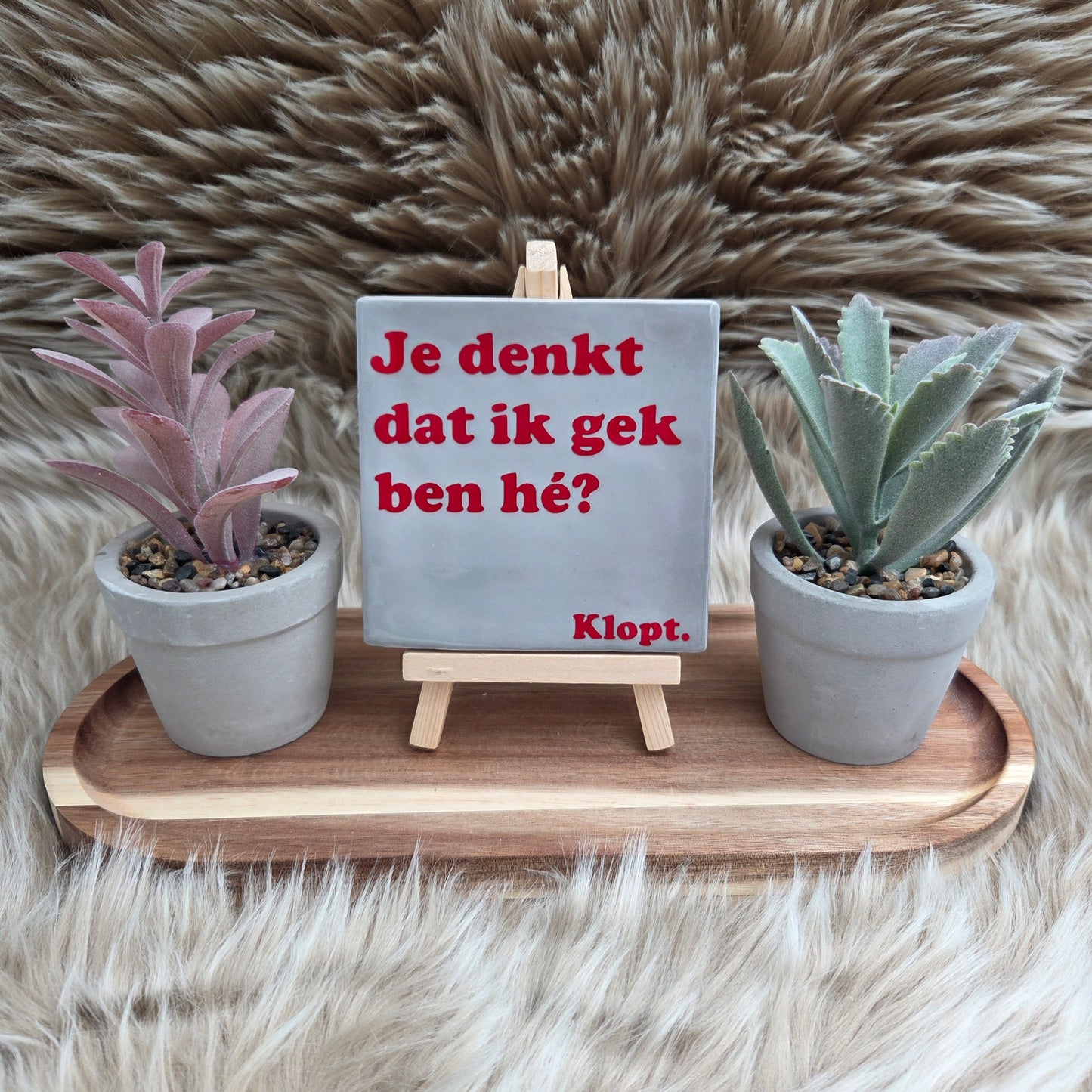 Robuust wenstegeltje met tekst: Je denkt dat ik gek ben hé? Klopt