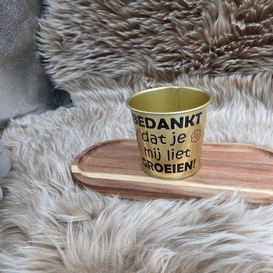 Gouden Bloempot – Cadeau Juf/Meester
