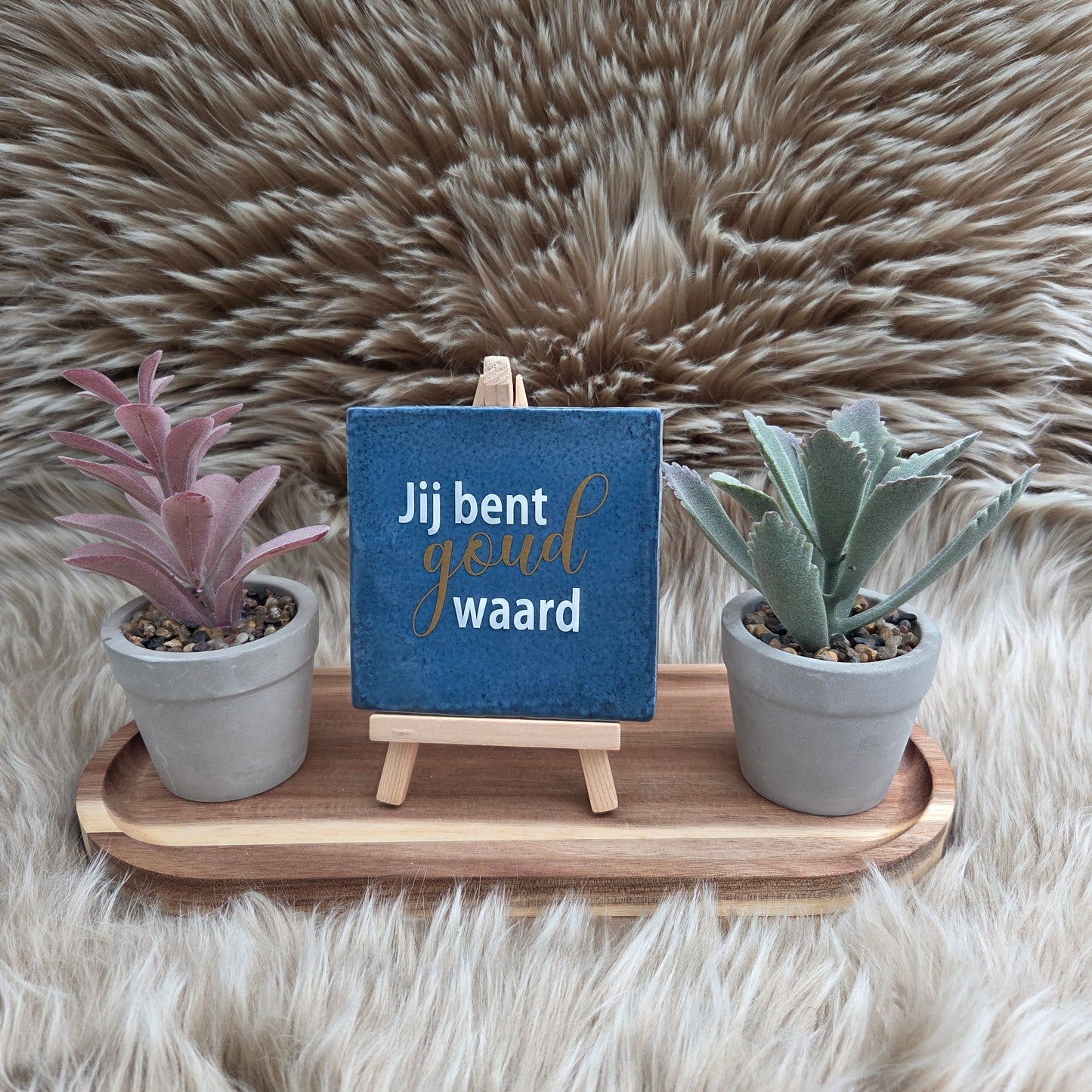 Robuust Tegeltje – Jij Bent Goud Waard