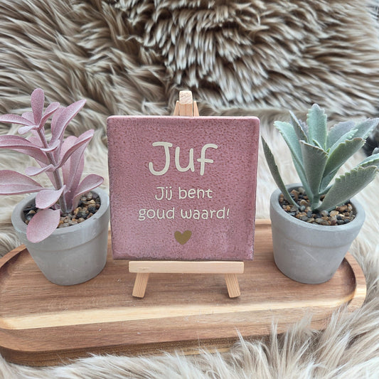 Robuust wenstegeltje: Juf jij bent goud waard!