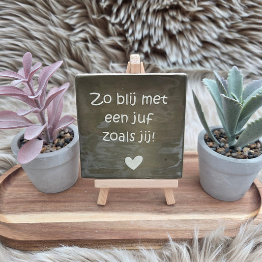 Robuust wenstegeltje: Zo blij met een juf zoals jij!