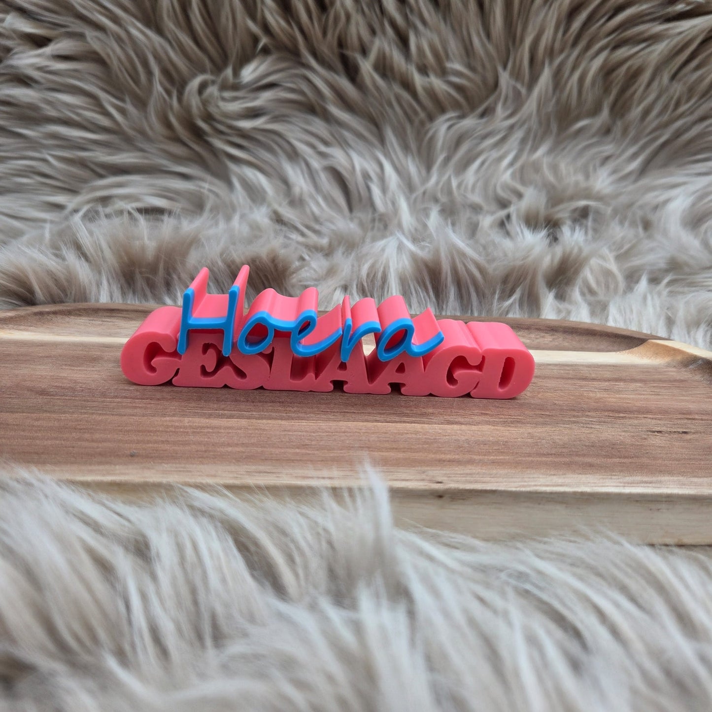 3D geprint wordpop Hoera geslaagd