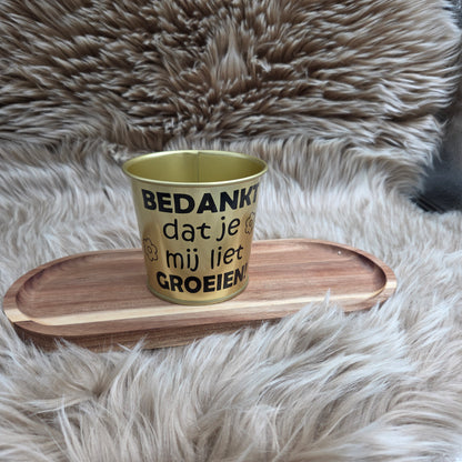 Gouden Bloempot  – Cadeau Juf/Meester