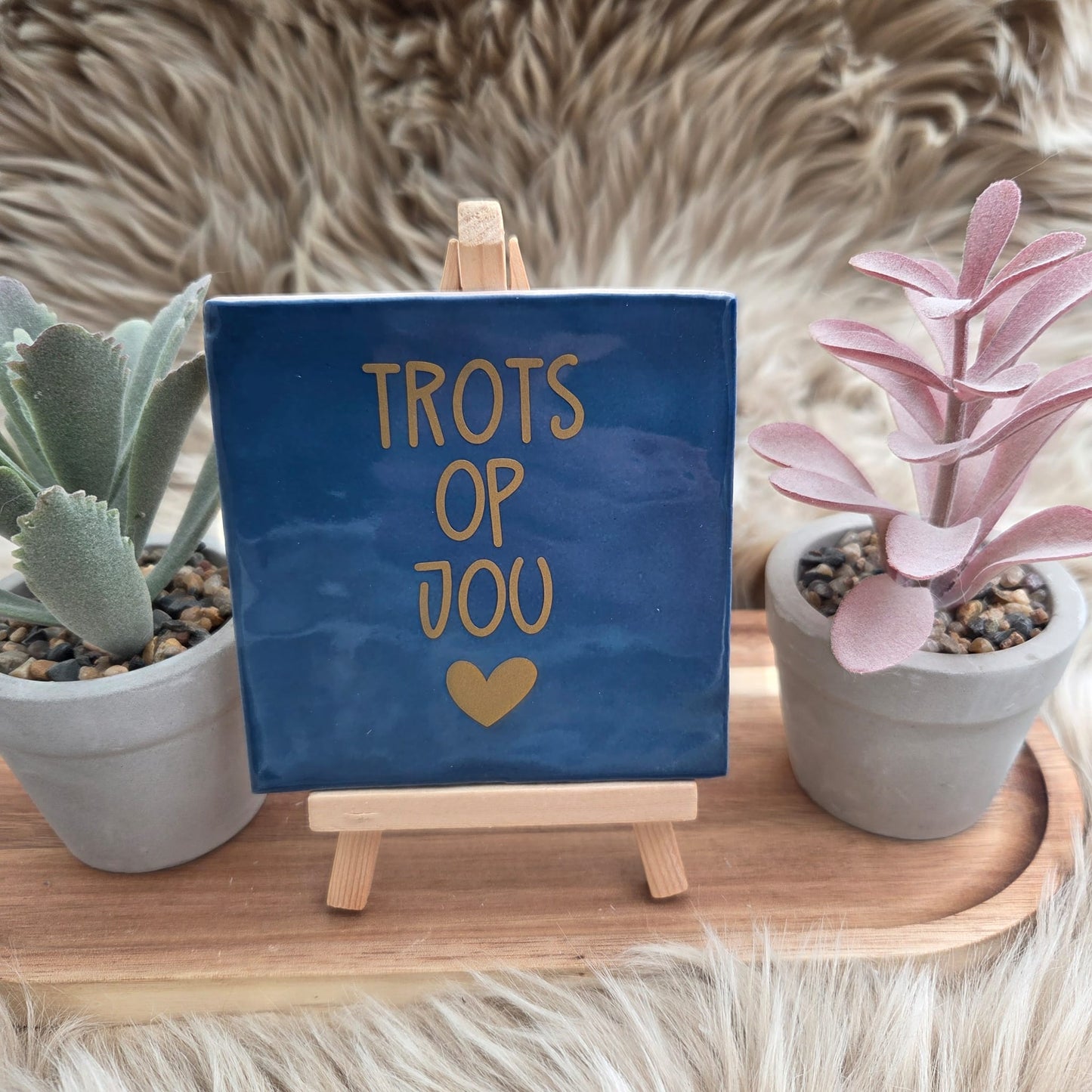 Robuust wenstegeltje: Trots op jou