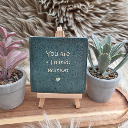 Robuust wenstegeltje: You are a limited edition