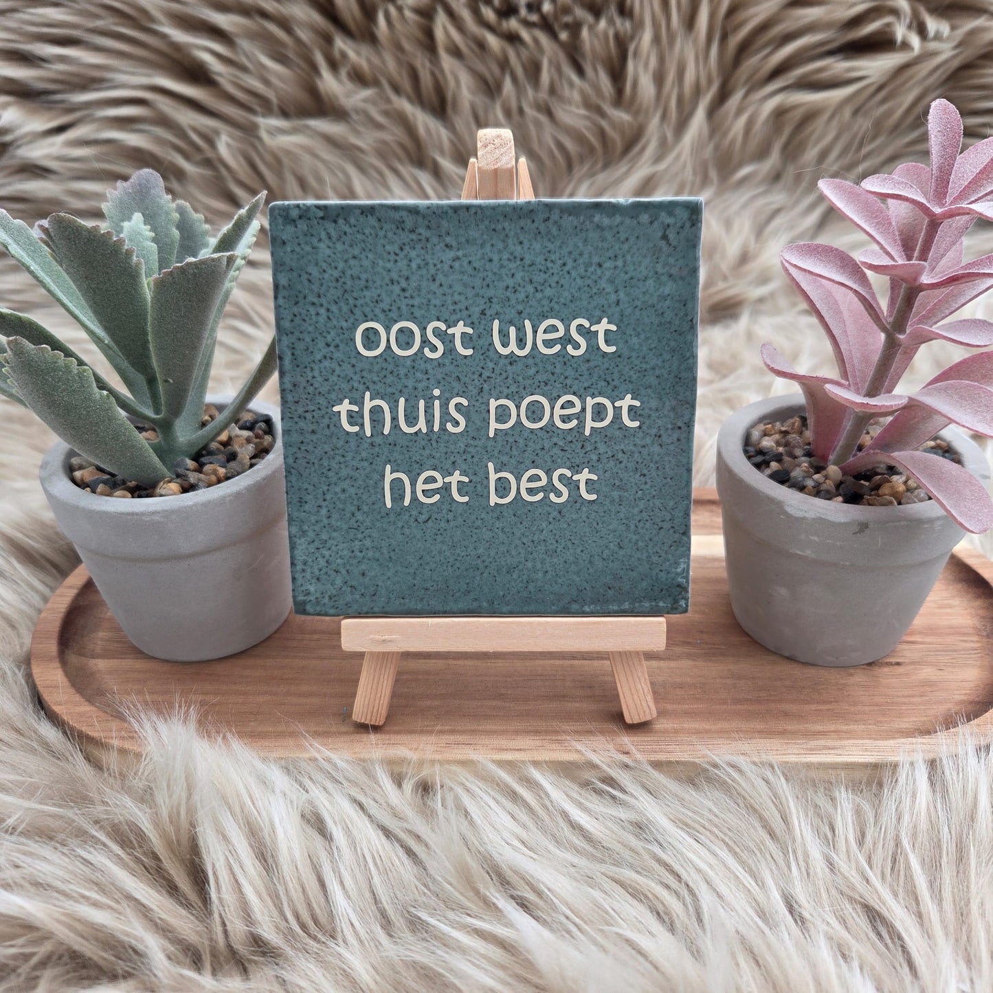 Robuust wenstegeltje:  oost west thuis poept het best