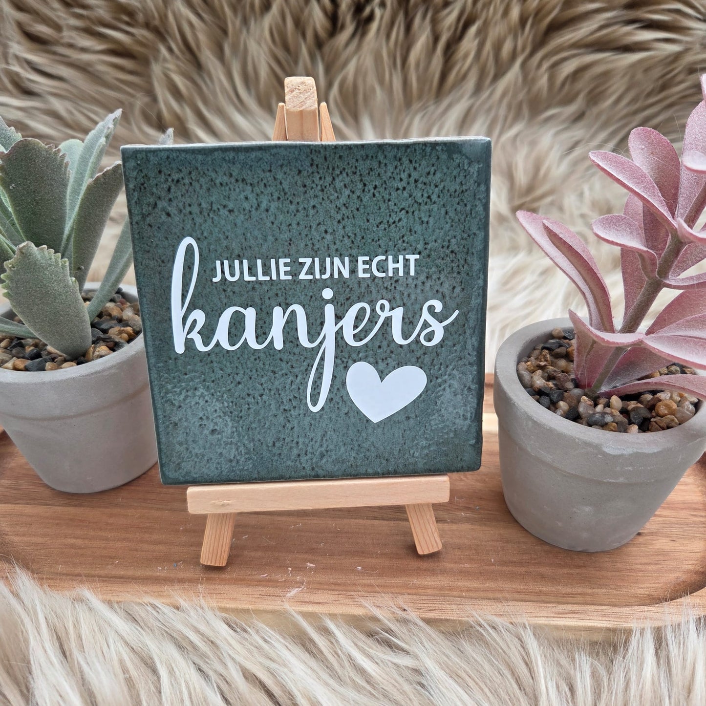Robuust wenstegeltje – Jullie Zijn Echt Kanjers