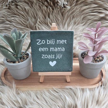 Robuust wenstegeltje:  Zo blij met een mama zoals jij!