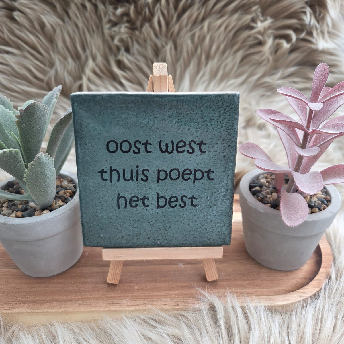 Robuust wenstegeltje:  oost west thuis poept het best