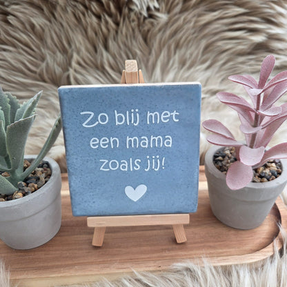 Robuust wenstegeltje:  Zo blij met een mama zoals jij!