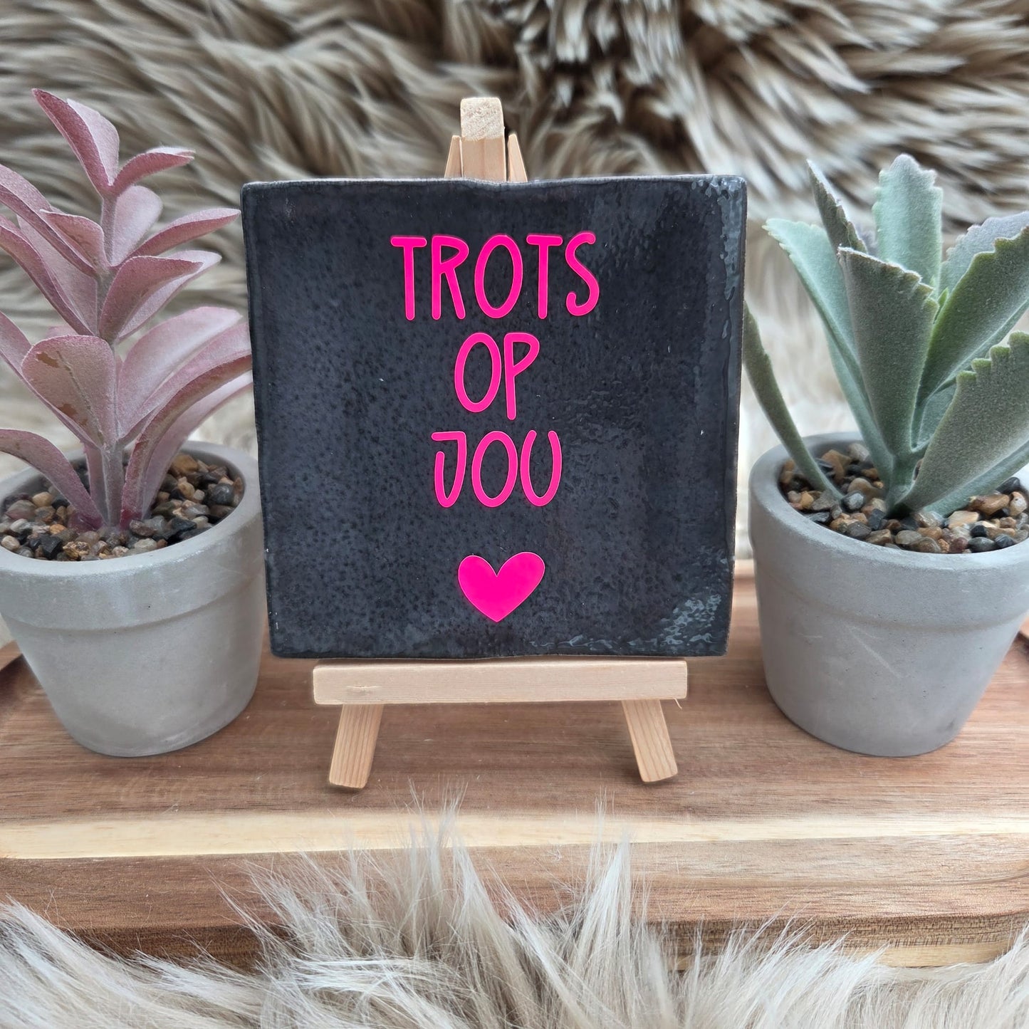 Robuust wenstegeltje: Trots op jou