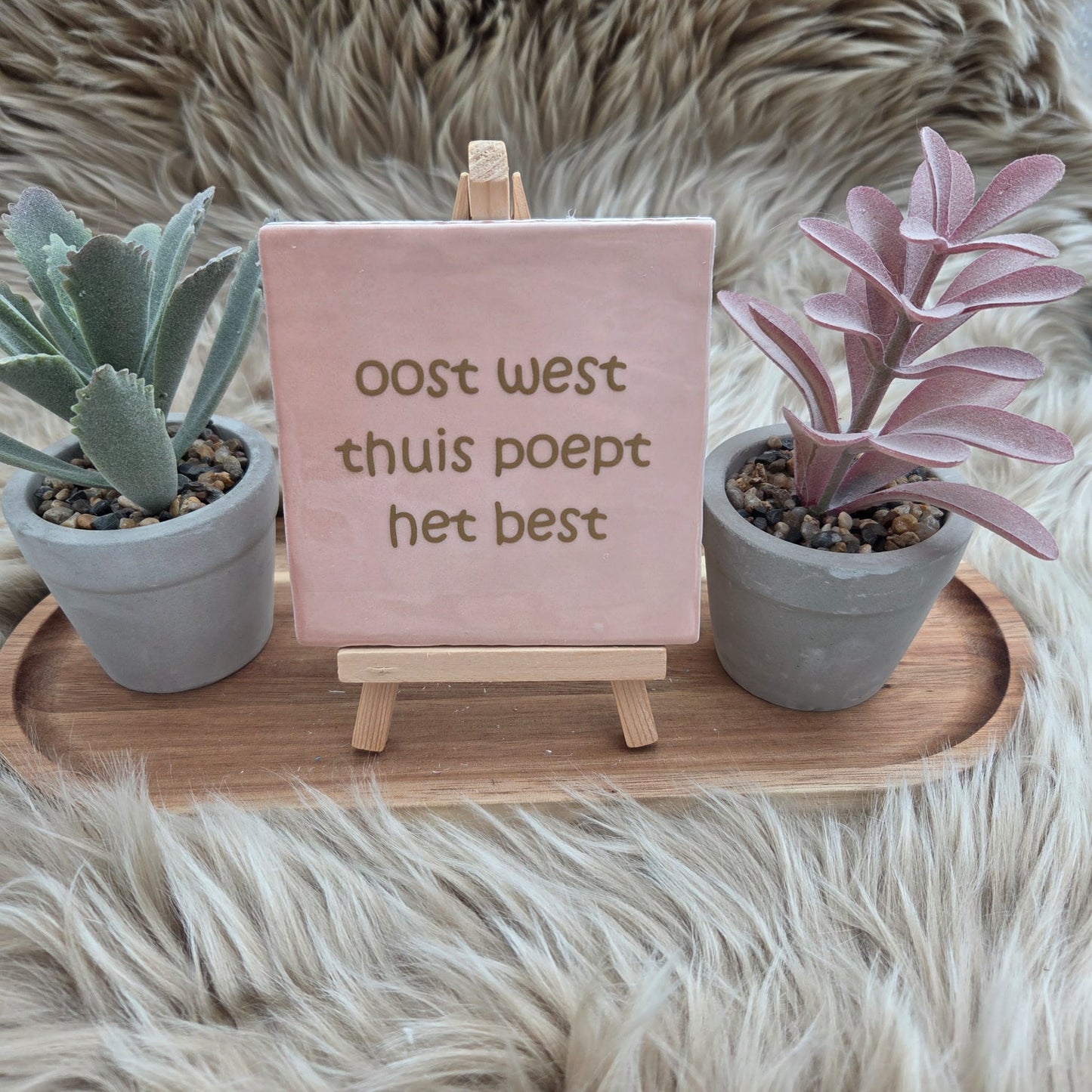 Robuust wenstegeltje:  oost west thuis poept het best