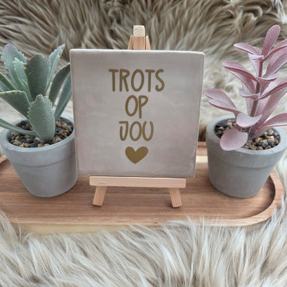 Robuust wenstegeltje: Trots op jou