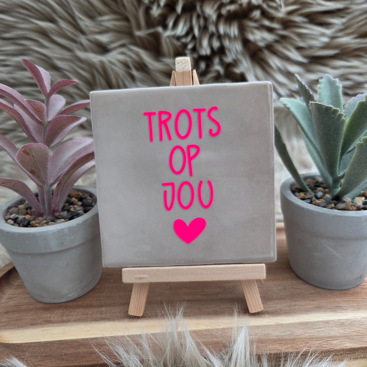 Robuust wenstegeltje: Trots op jou