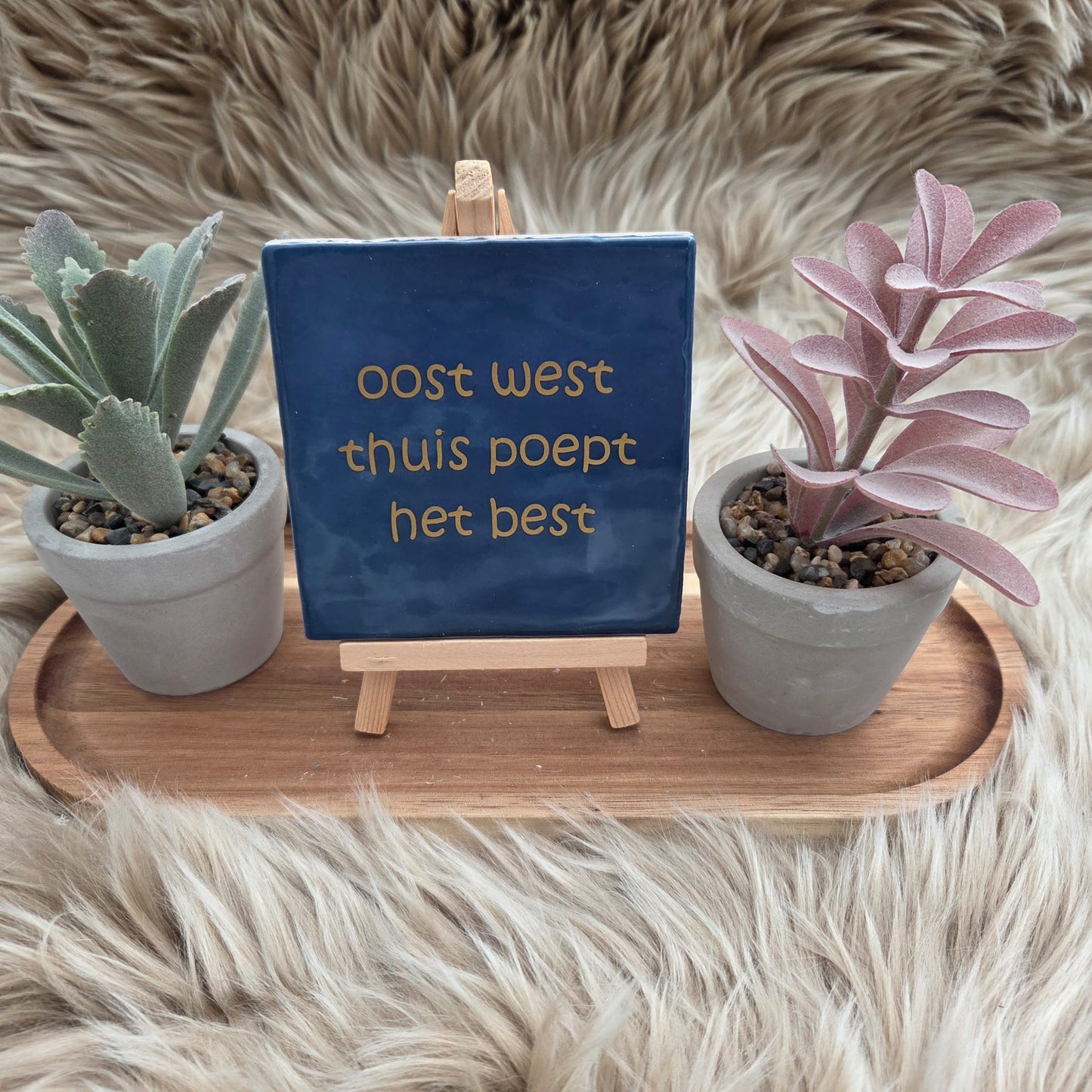 Robuust wenstegeltje:  oost west thuis poept het best