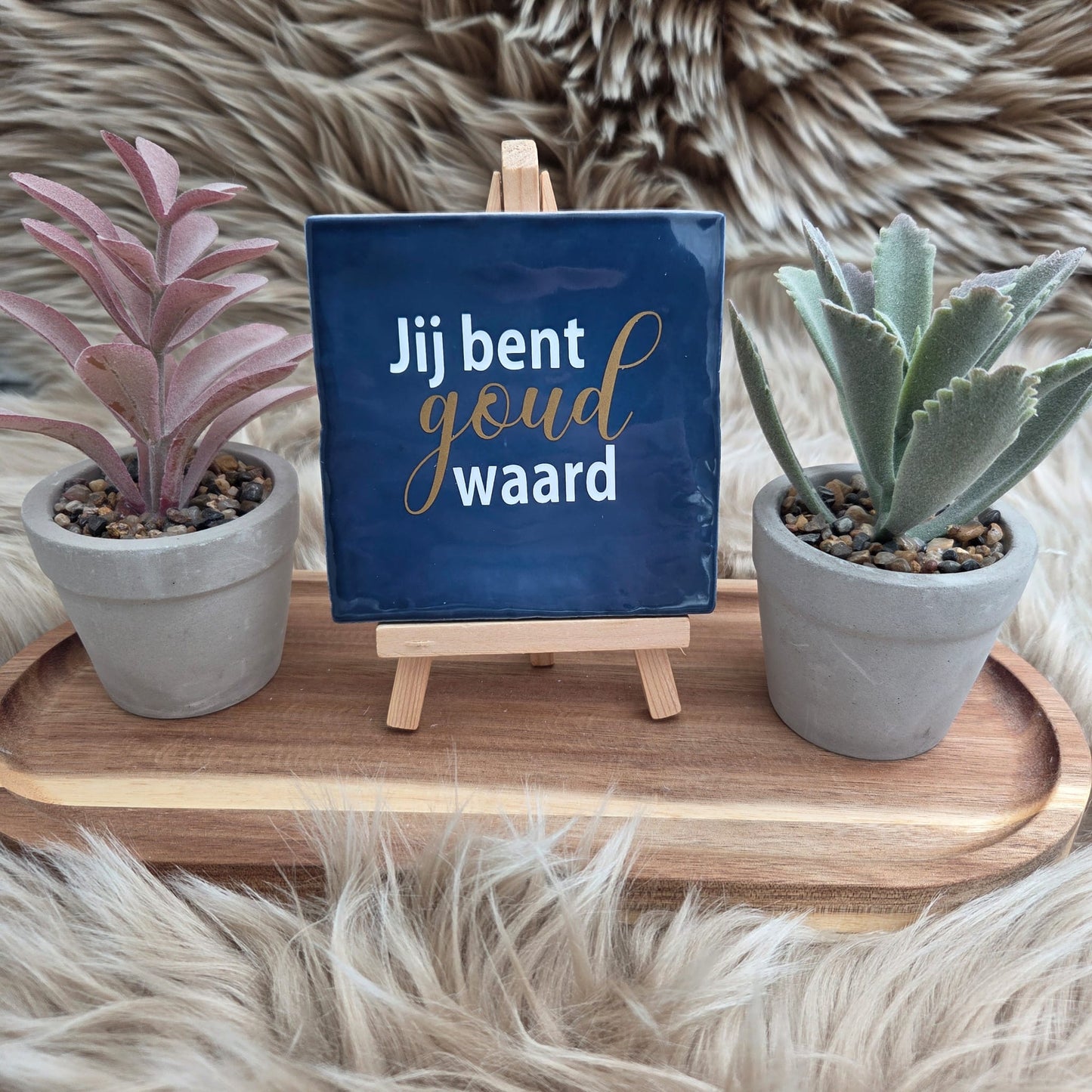 Robuust Tegeltje – Jij Bent Goud Waard