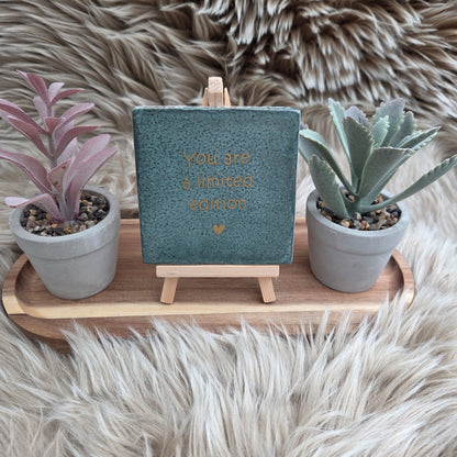 Robuust wenstegeltje: You are a limited edition