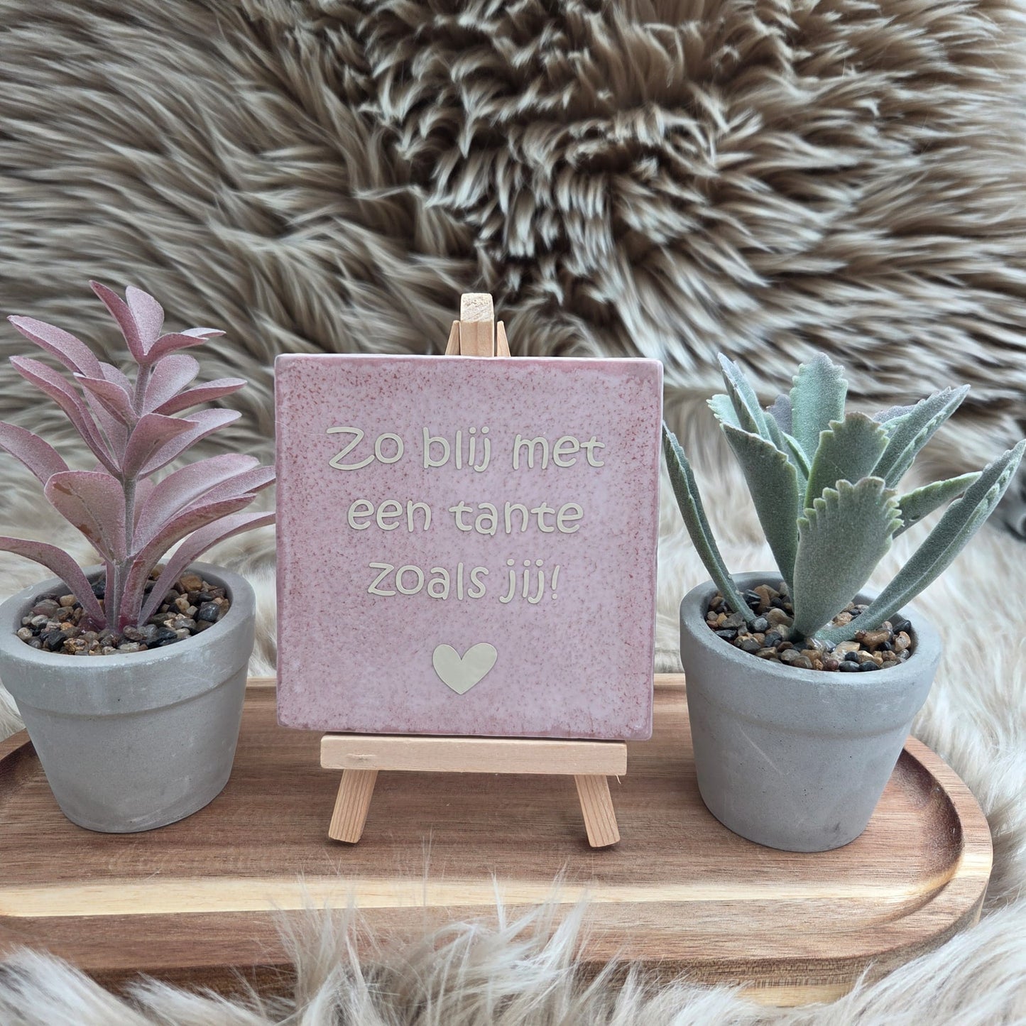 Robuust wenstegeltje: Zo blij met een tante zoals jij