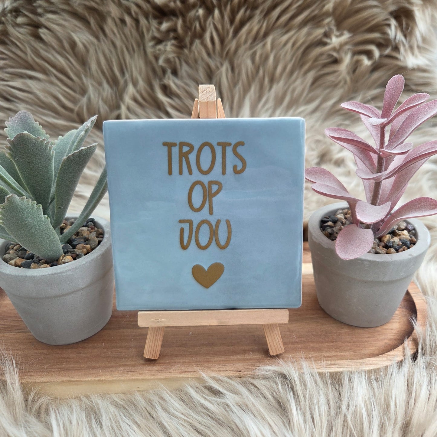 Robuust wenstegeltje: Trots op jou