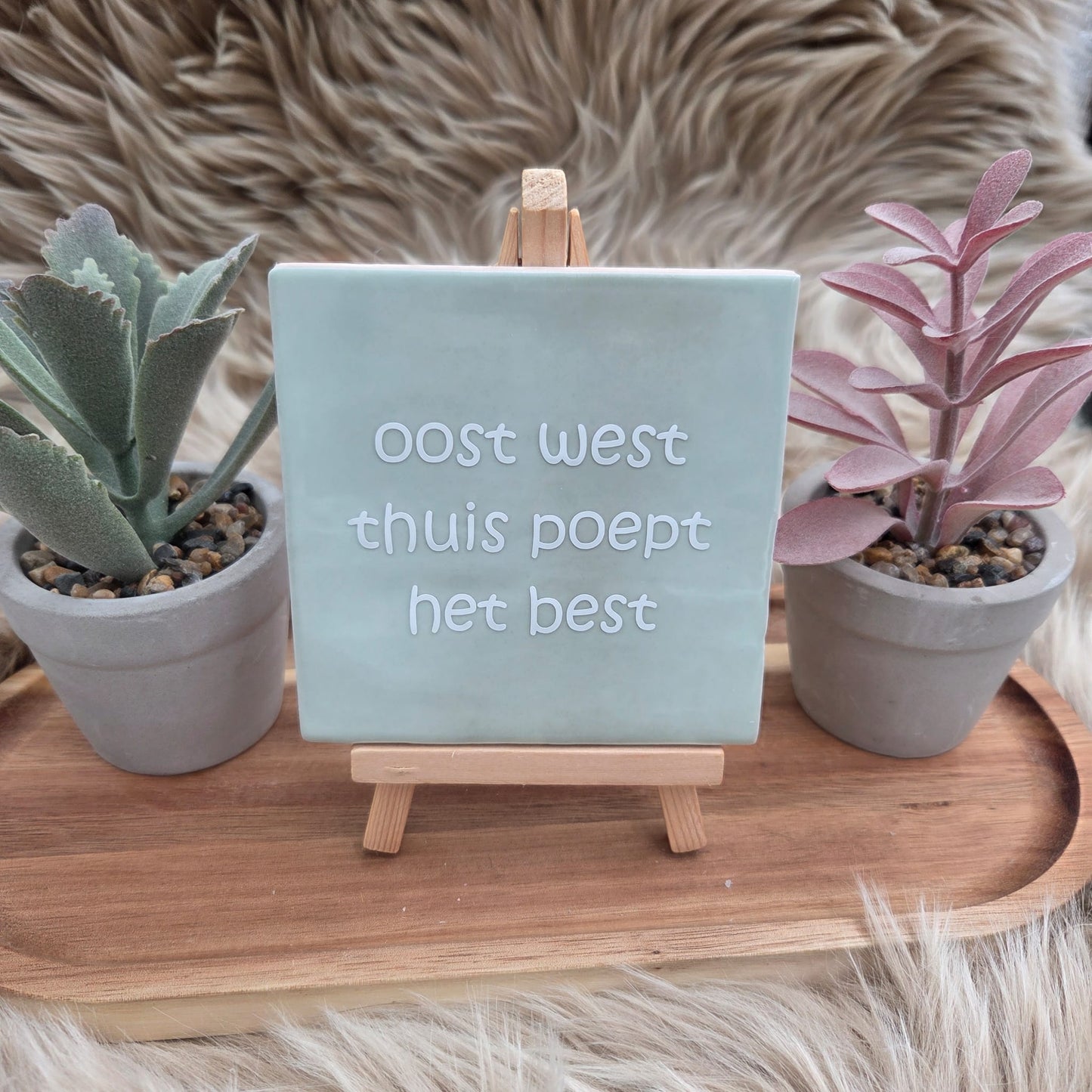 Robuust wenstegeltje:  oost west thuis poept het best