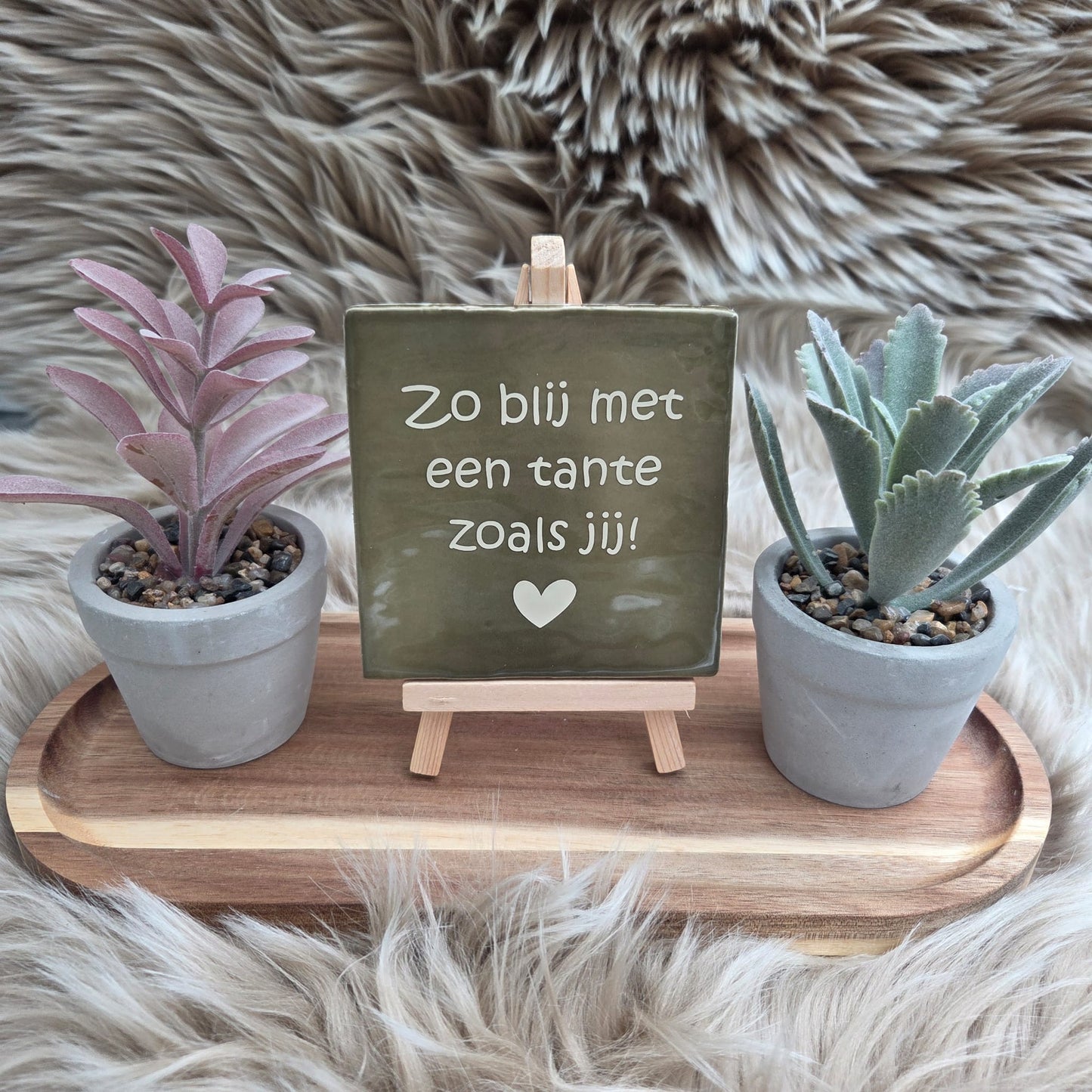 Robuust wenstegeltje: Zo blij met een tante zoals jij