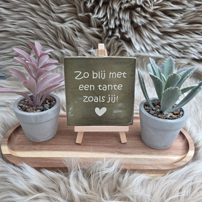 Robuust wenstegeltje: Zo blij met een tante zoals jij