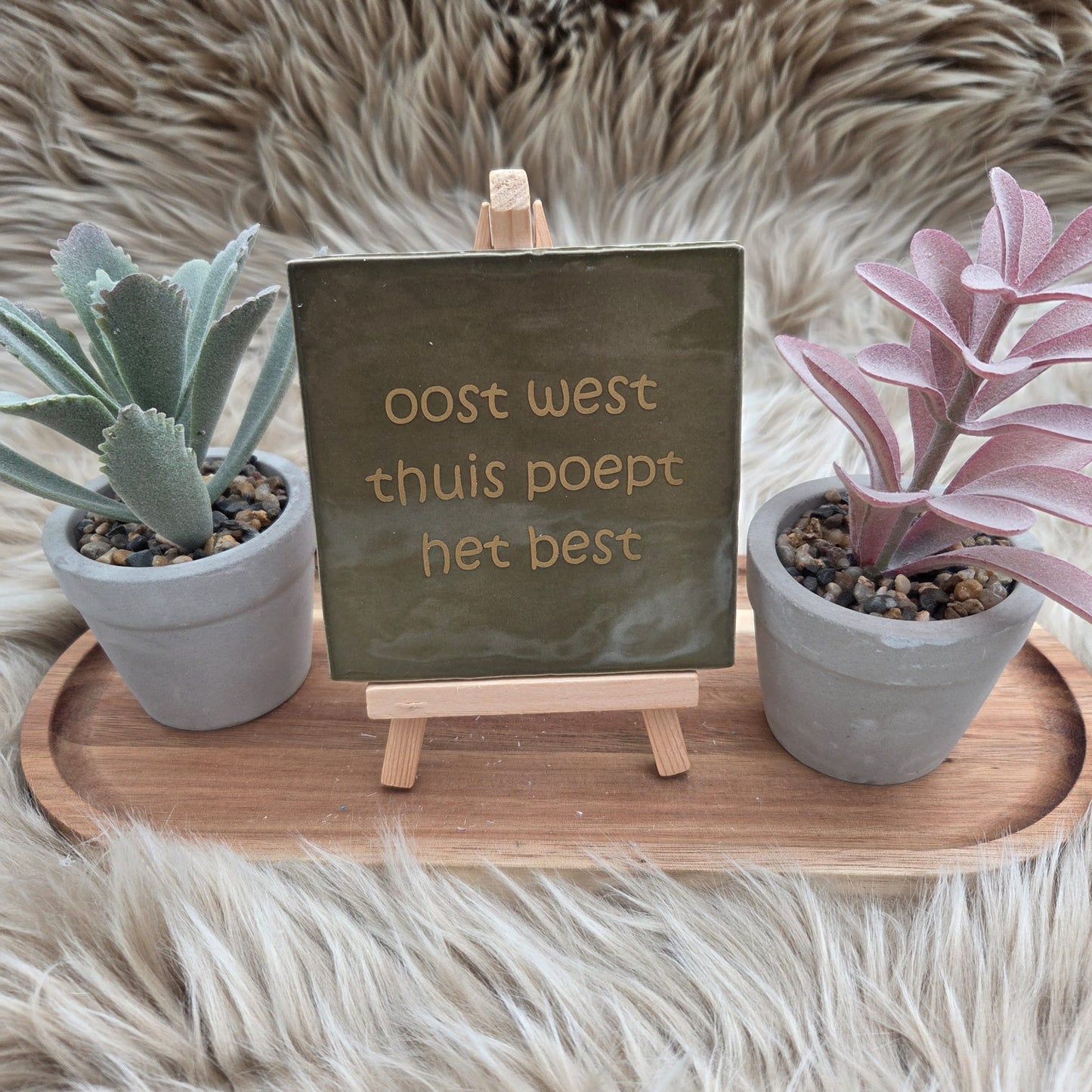 Robuust wenstegeltje:  oost west thuis poept het best