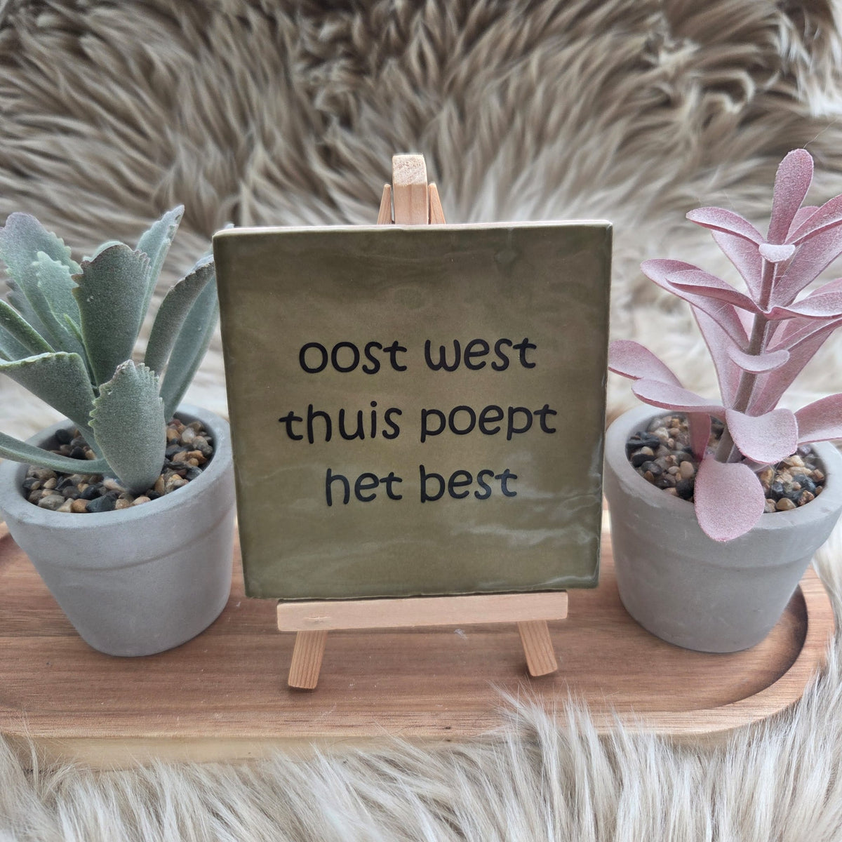 Robuust wenstegeltje:  oost west thuis poept het best