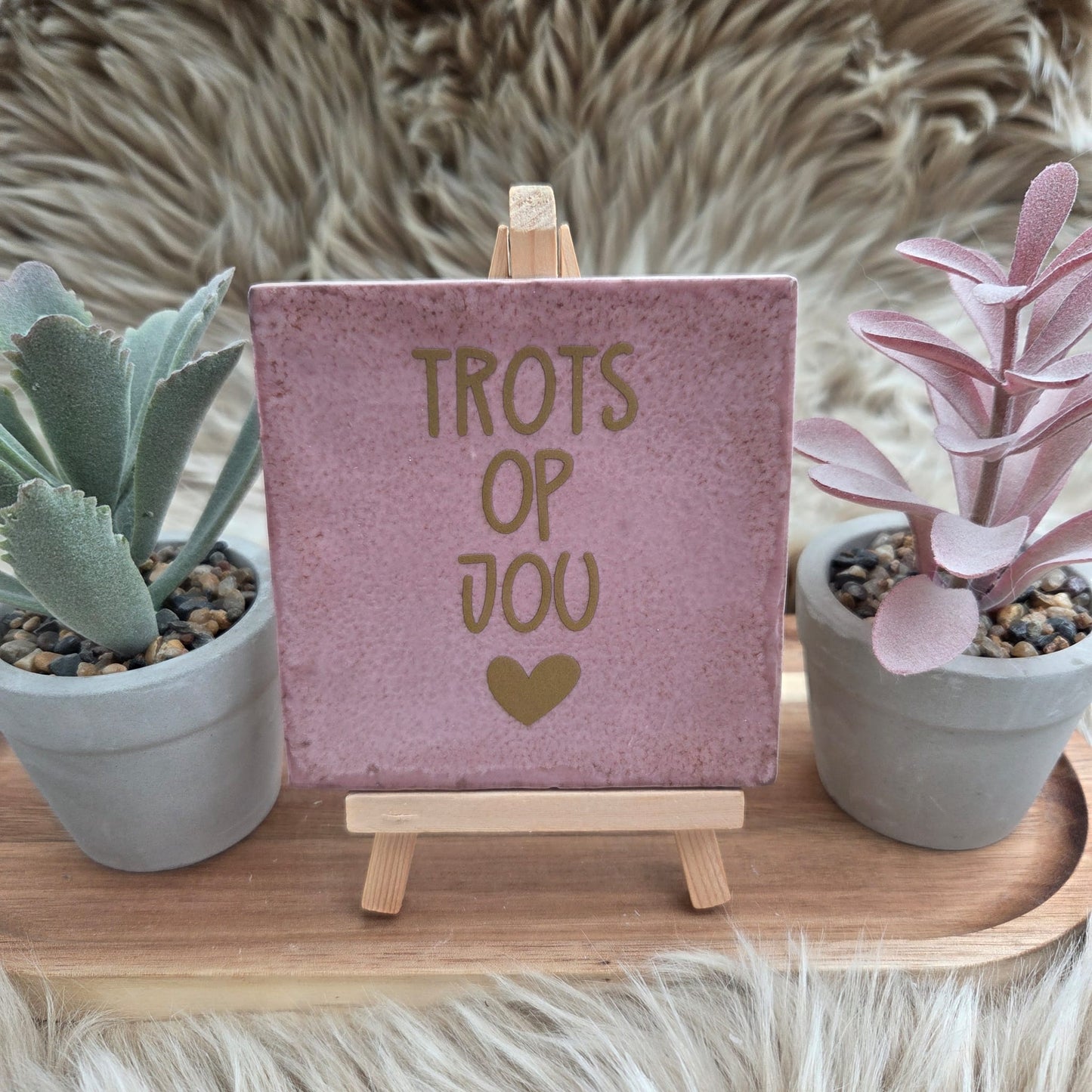 Robuust wenstegeltje: Trots op jou
