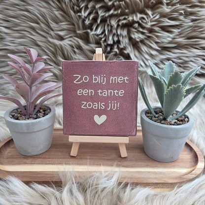 Robuust wenstegeltje: Zo blij met een tante zoals jij