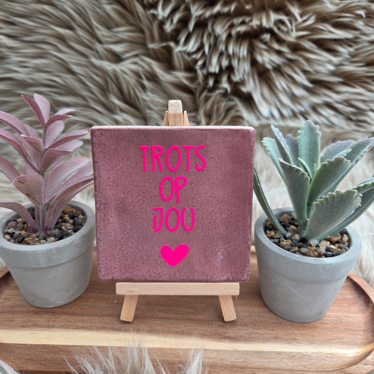 Robuust wenstegeltje: Trots op jou