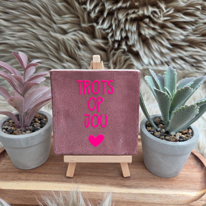 Robuust wenstegeltje: Trots op jou