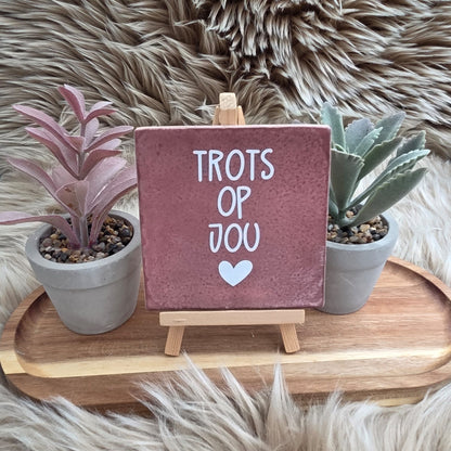 Robuust wenstegeltje: Trots op jou