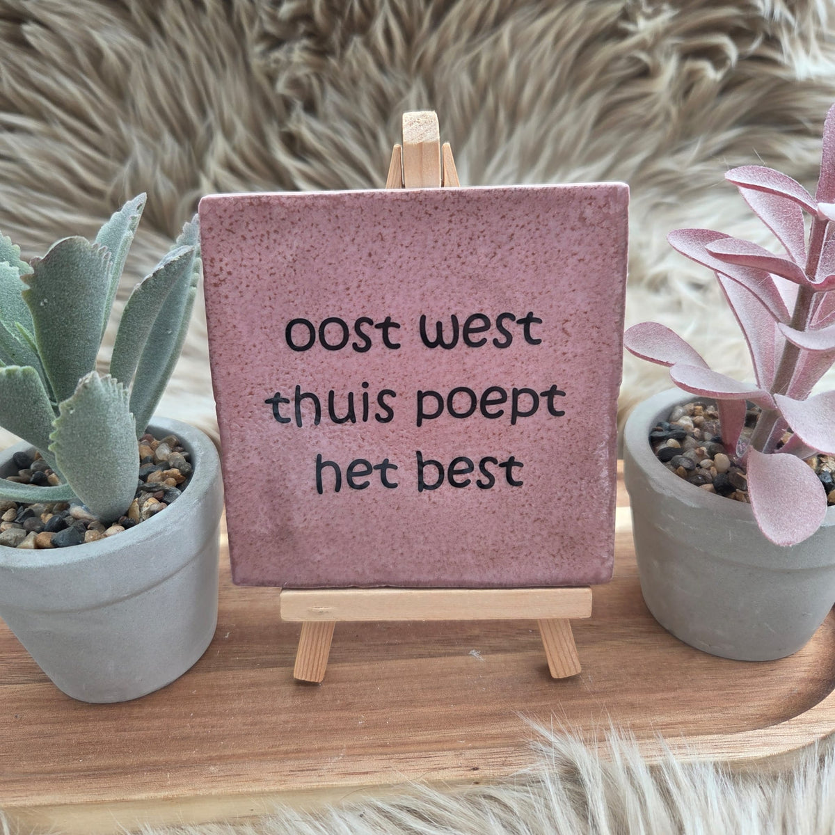 Robuust wenstegeltje:  oost west thuis poept het best