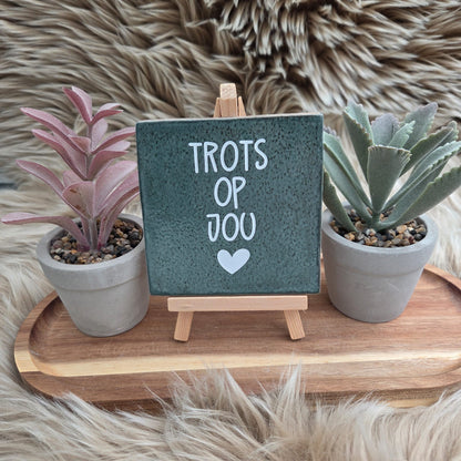 Robuust wenstegeltje: Trots op jou