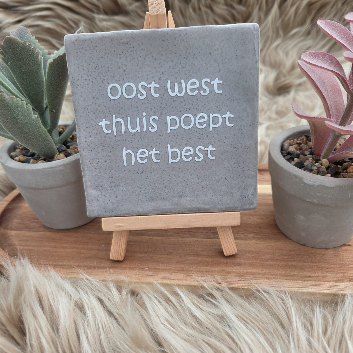 Robuust wenstegeltje:  oost west thuis poept het best