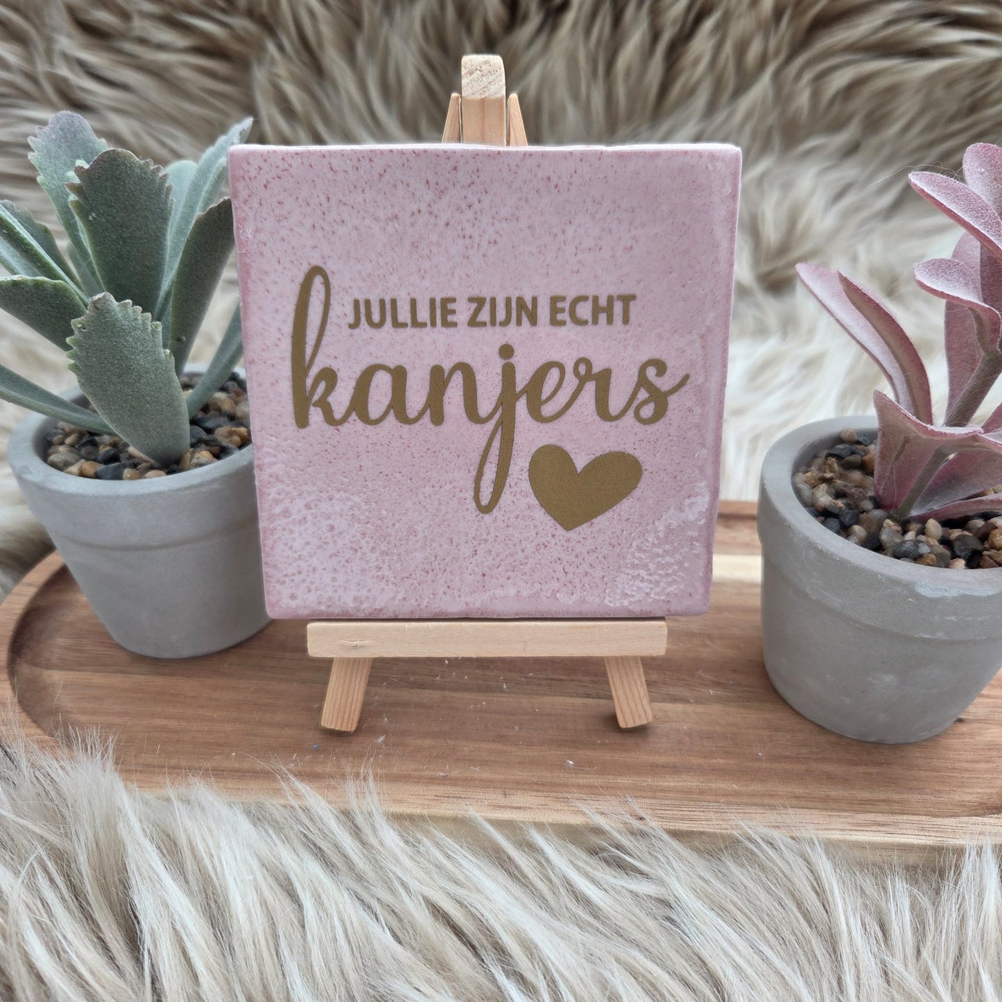 Robuust wenstegeltje – Jullie Zijn Echt Kanjers