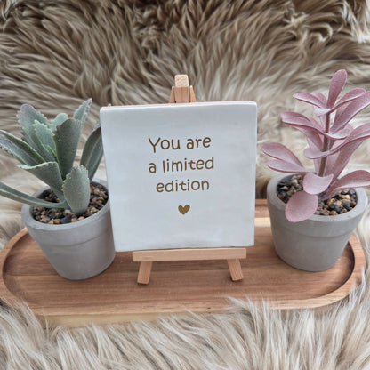 Robuust wenstegeltje: You are a limited edition