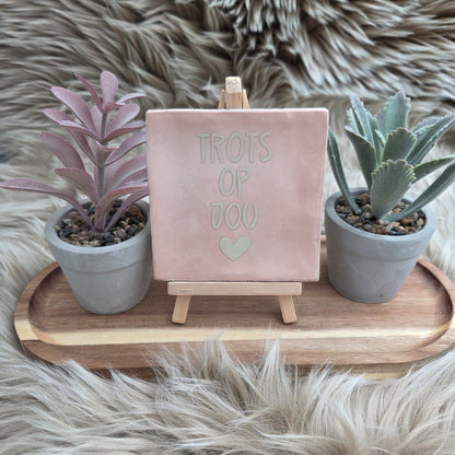 Robuust wenstegeltje: Trots op jou