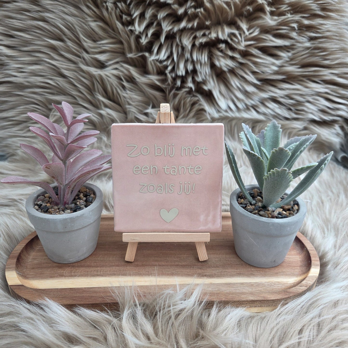 Robuust wenstegeltje: Zo blij met een tante zoals jij