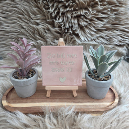 Robuust wenstegeltje: Zo blij met een tante zoals jij