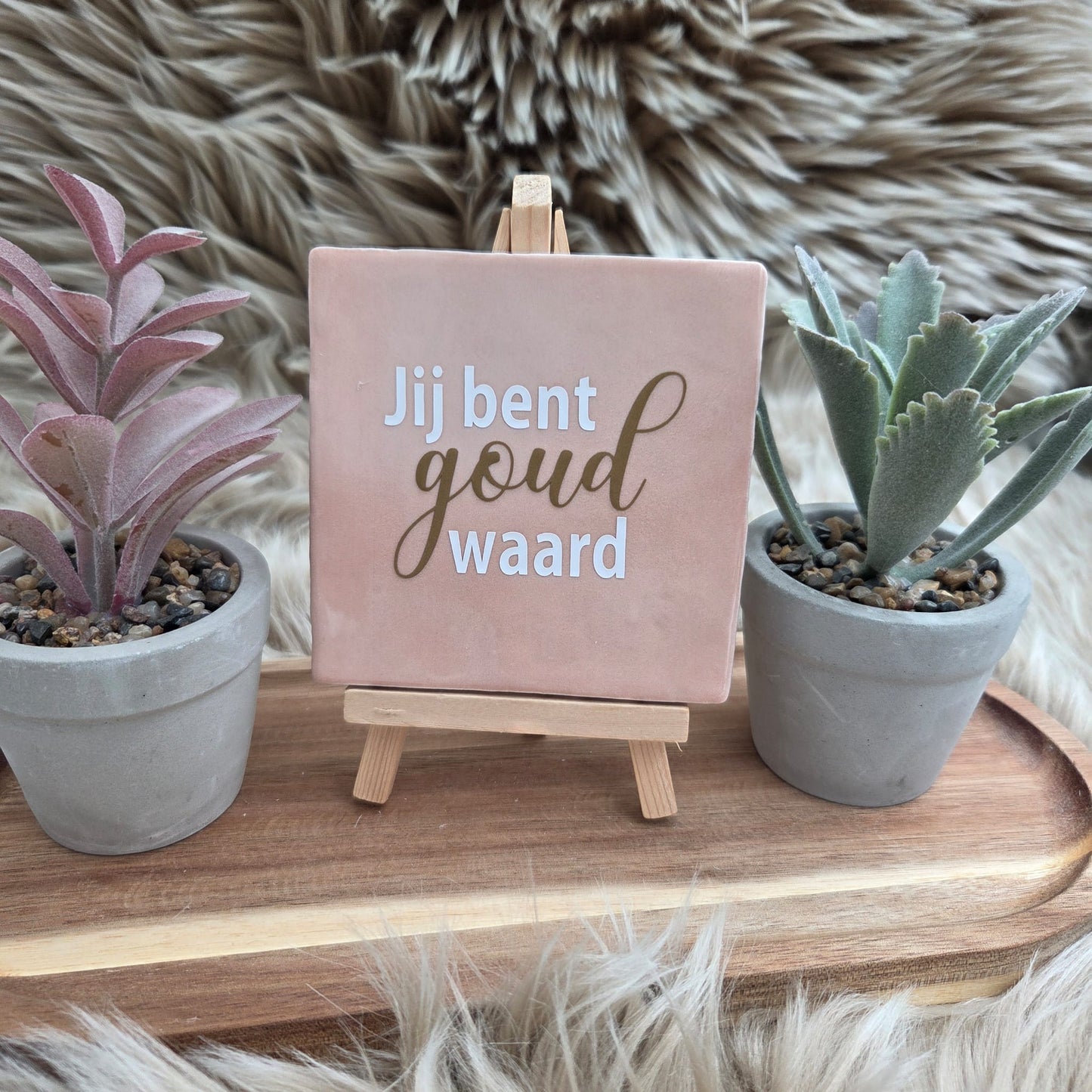 Robuust Tegeltje – Jij Bent Goud Waard