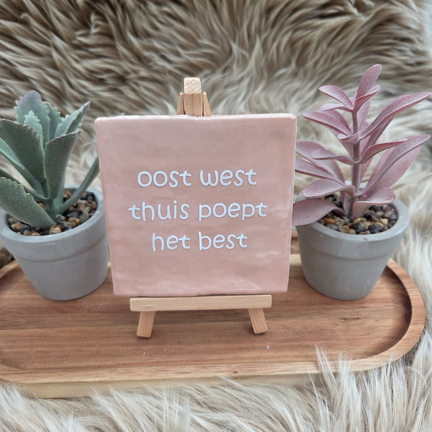 Robuust wenstegeltje:  oost west thuis poept het best