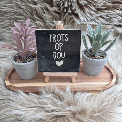 Robuust wenstegeltje: Trots op jou