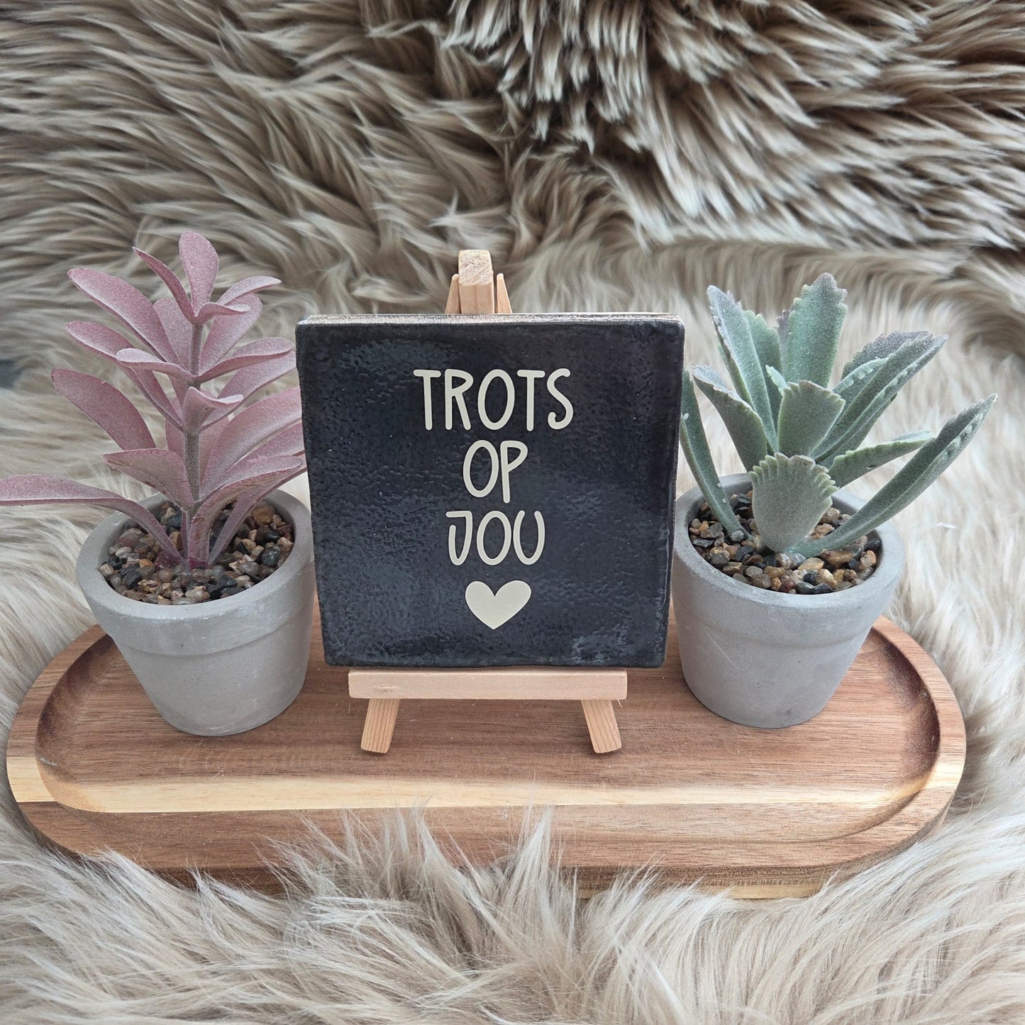 Robuust wenstegeltje: Trots op jou