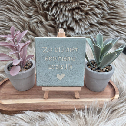 Robuust wenstegeltje:  Zo blij met een mama zoals jij!