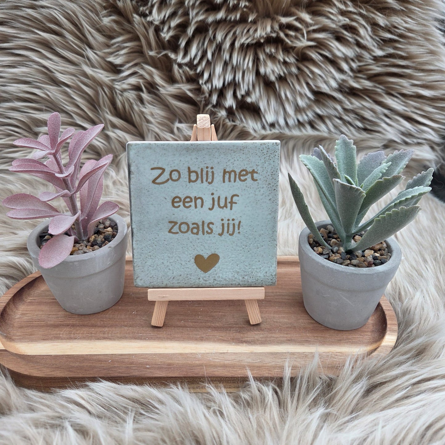 Robuust wenstegeltje:  Zo blij met een juf zoals jij!