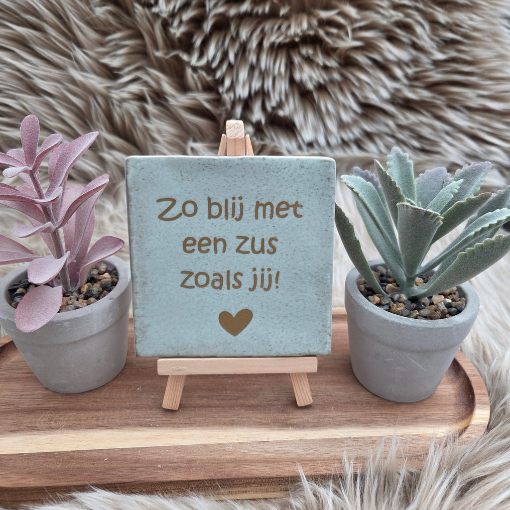 Robuust wenstegeltje:  Zo blij met een zus zoals jij!