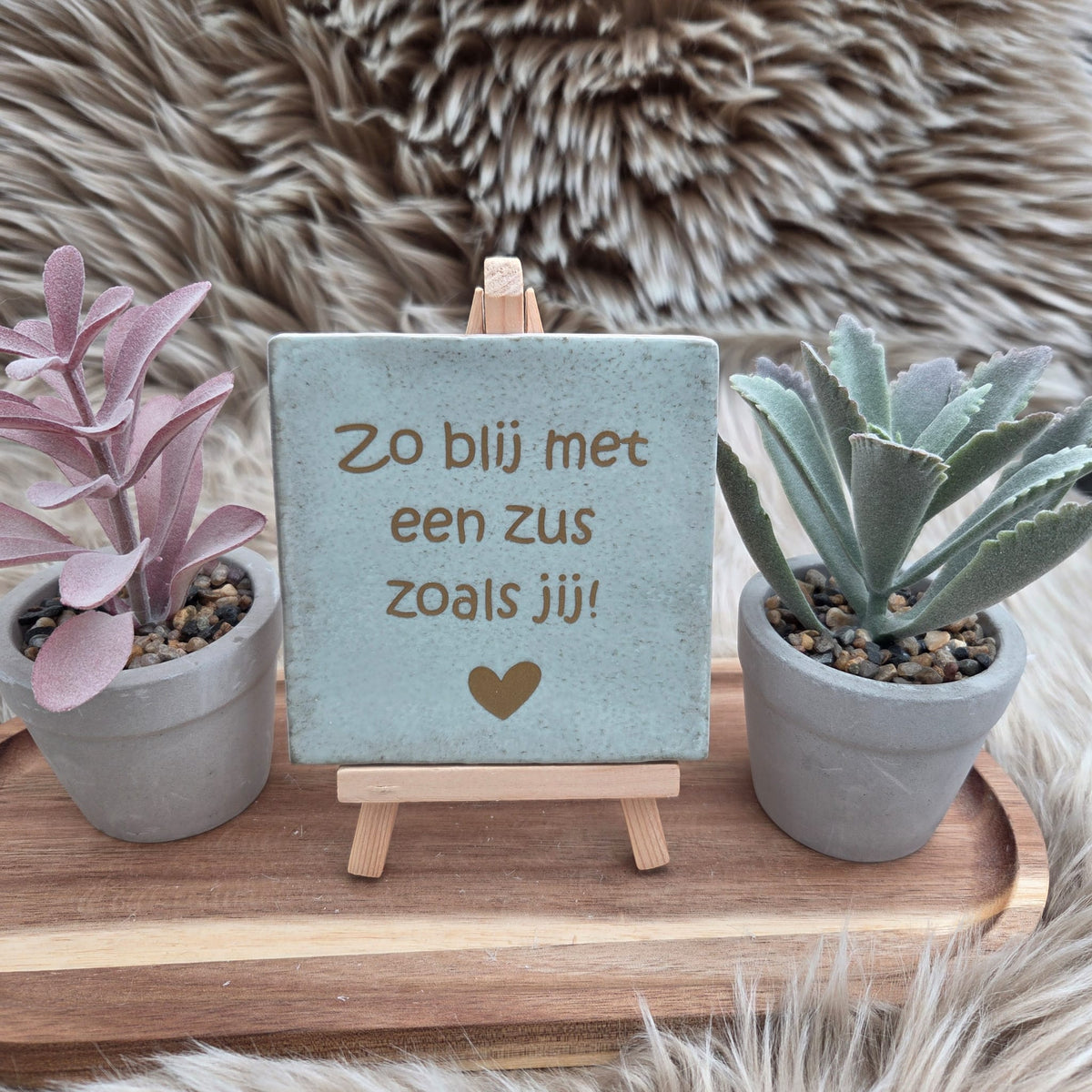 Robuust wenstegeltje:  Zo blij met een zus zoals jij!